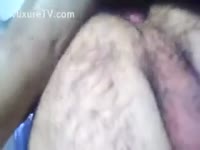 Beastiality sex tube featuring a horny dog